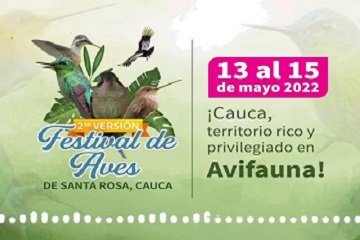 ¡Festival de Aves en Santa Rosa, Cauca!
