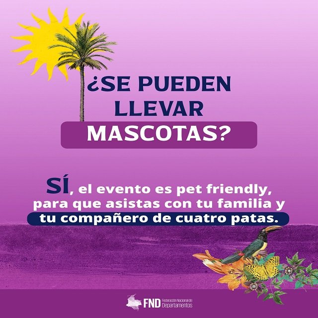 El Cauca Alista su Participación en la Feria ‘Colombia son las Regiones’ en Bogotá