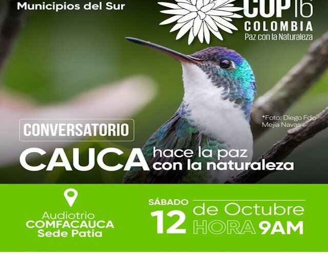 🌿 El Cauca se une en defensa del medio ambiente