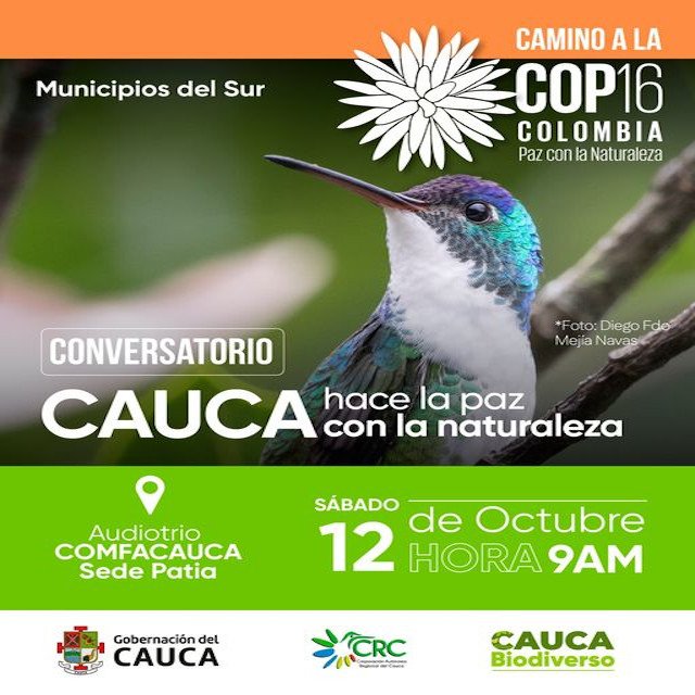 El Cauca se une en defensa del medio ambiente - Gobernación del Cauca