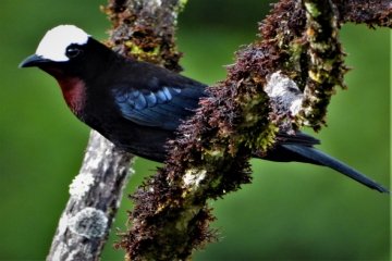 El agroturismo avanza con exito en el Cauca