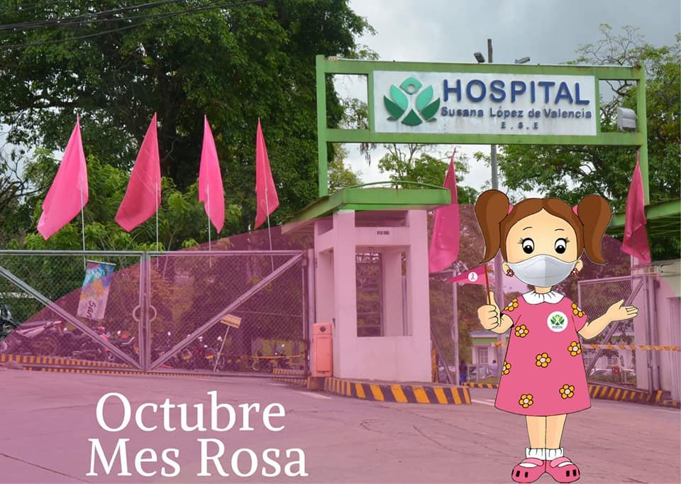 El departamento del cauca se viste de Rosa...20