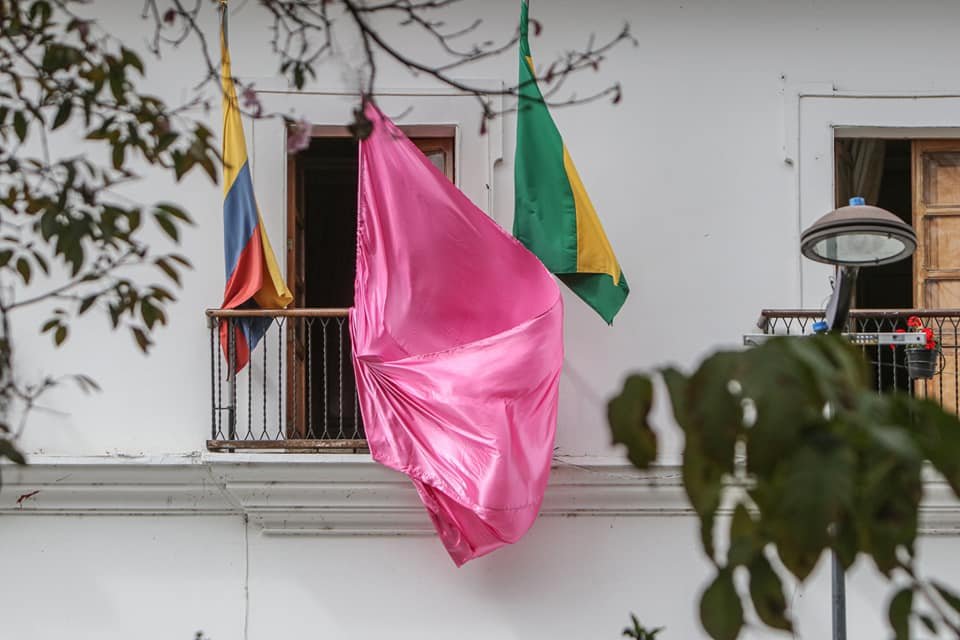 El departamento del cauca se viste de Rosa...24