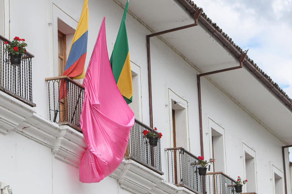 El departamento del cauca se viste de Rosa...26