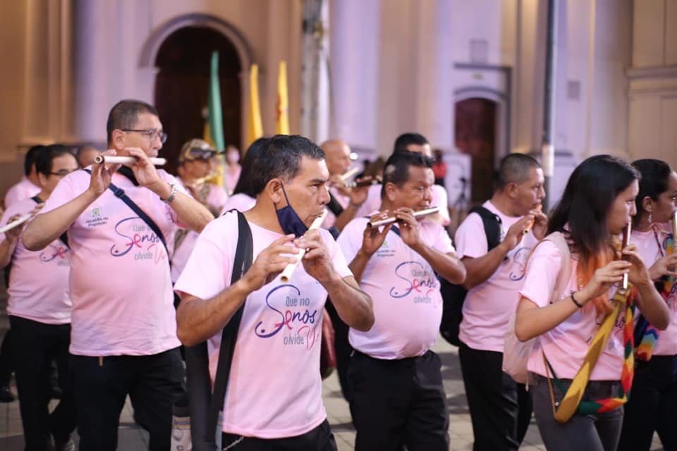 El departamento del cauca se viste de Rosa...44