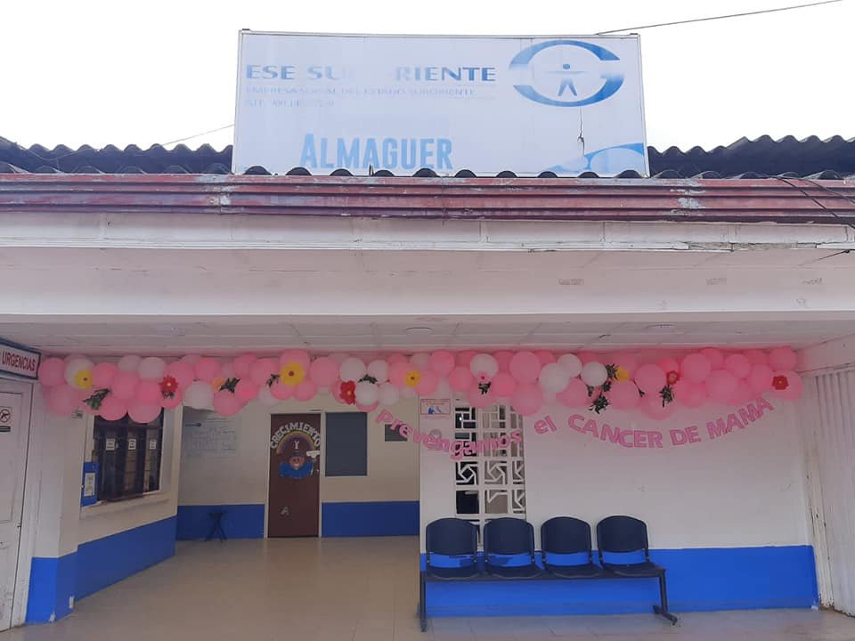 El departamento del cauca se viste de Rosa...8