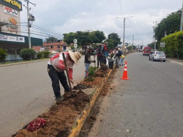 Embellecimiento de la Entrada y del Separador de Nuestra Hermosa Ciudad de Santander de Quilichao2