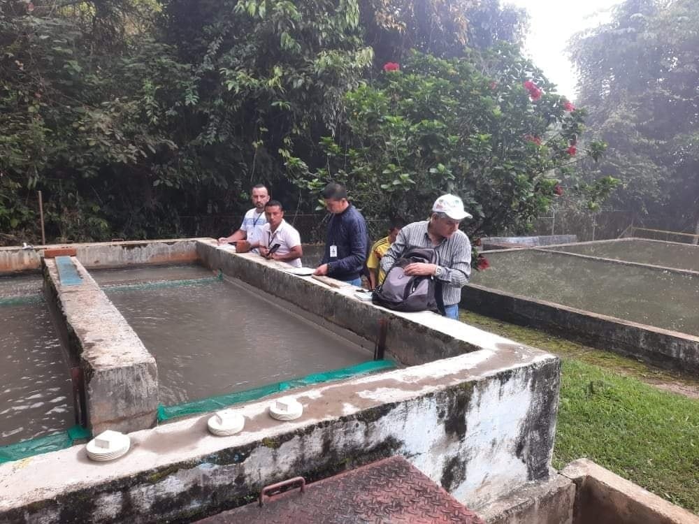 Emcaservicios S.A. E.S.P. realiza visita técnica a la Planta de Tratamiento de Agua Potable (Ptap) Belén y Bellavista, en el municipio de Balboa3