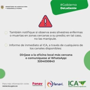 En coordinacion con autoridades de salud Gobernacion del Cauca hace seguimiento al foco de influenza aviar en la Isla Gorgona