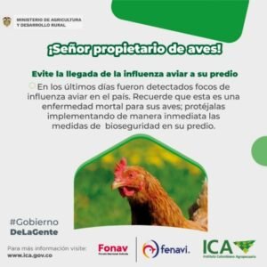 En coordinacion con autoridades de salud Gobernacion del Cauca hace seguimiento al foco de influenza aviar en la Isla Gorgona 1 1