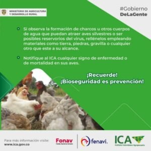 En coordinacion con autoridades de salud Gobernacion del Cauca hace seguimiento al foco de influenza aviar en la Isla Gorgona 1 2