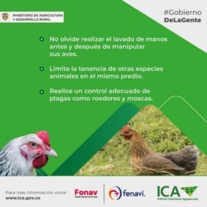 En coordinacion con autoridades de salud Gobernacion del Cauca hace seguimiento al foco de influenza aviar en la Isla Gorgona 1 3