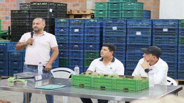 En el sur del Cauca se fortalece la capacidad de exportación de limón Tahití