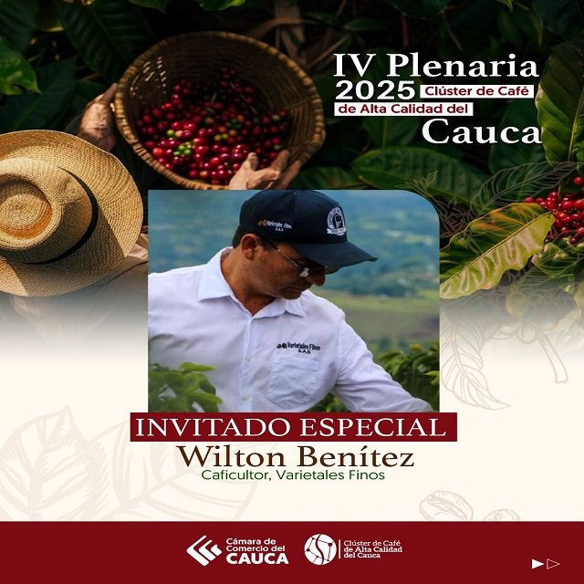 Estrategia y Calidad - La IV Plenaria del Clúster de Café de Alta Calidad impulsa la competitividad del Cauca