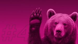 Evita el oso - CEO lanza campaña para promover conexiones seguras y legales al servicio de energía