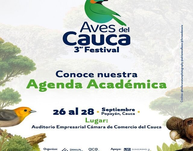 🦅 Aves y Conservación: Éxito en la Convocatoria del Tercer Festival Aves del Cauca