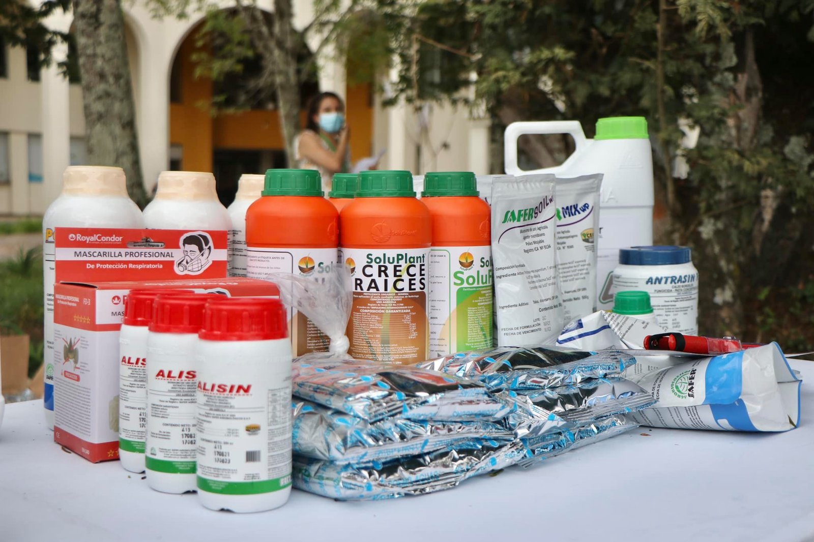 Fortalecimiento de la cadena productiva de aguacate hass1