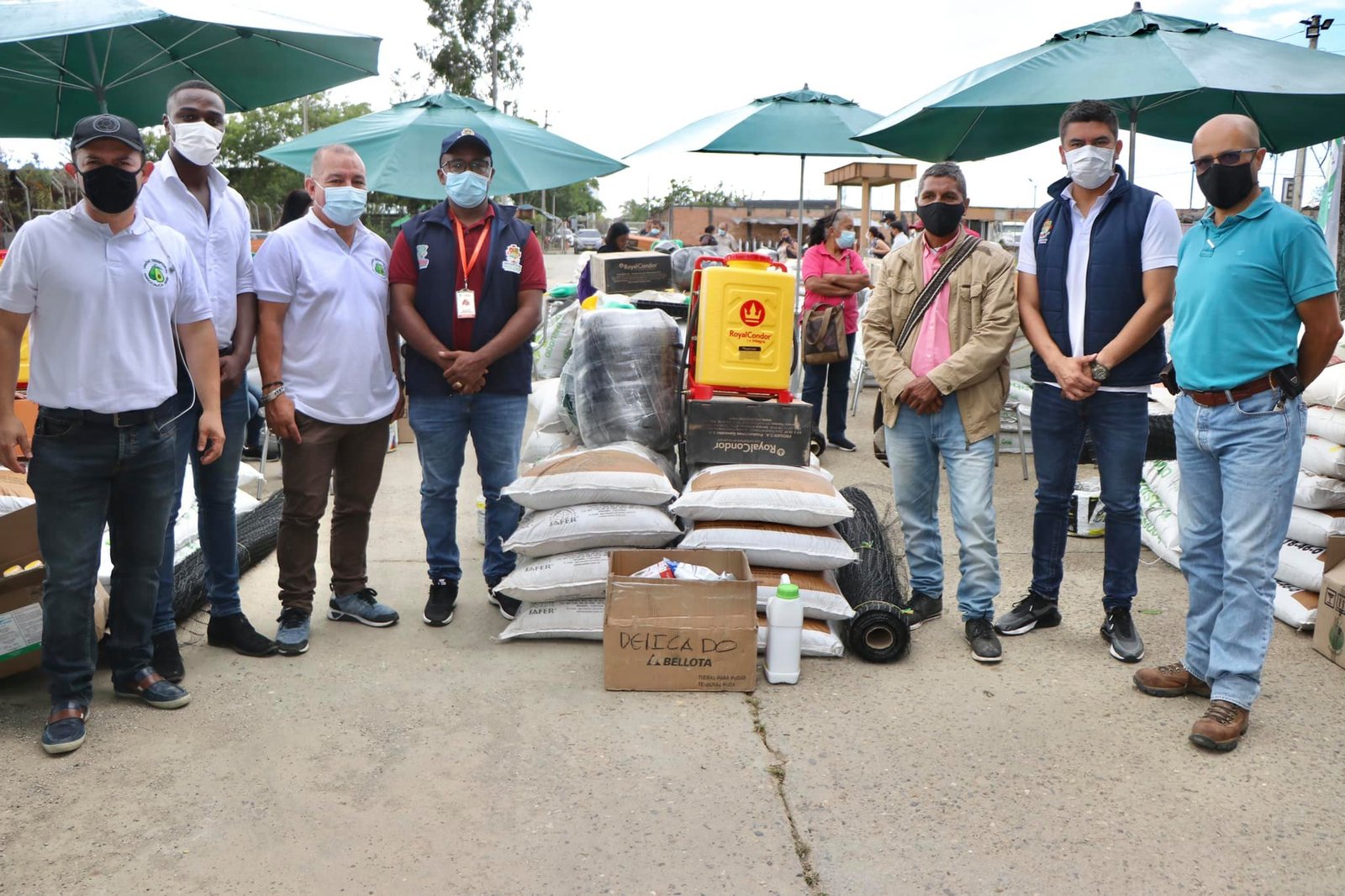 Fortalecimiento de la cadena productiva de aguacate hass11