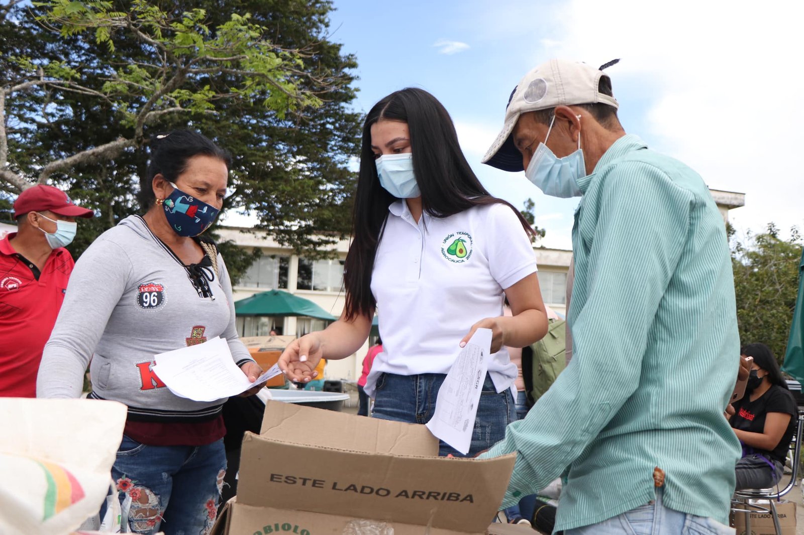 Fortalecimiento de la cadena productiva de aguacate hass13