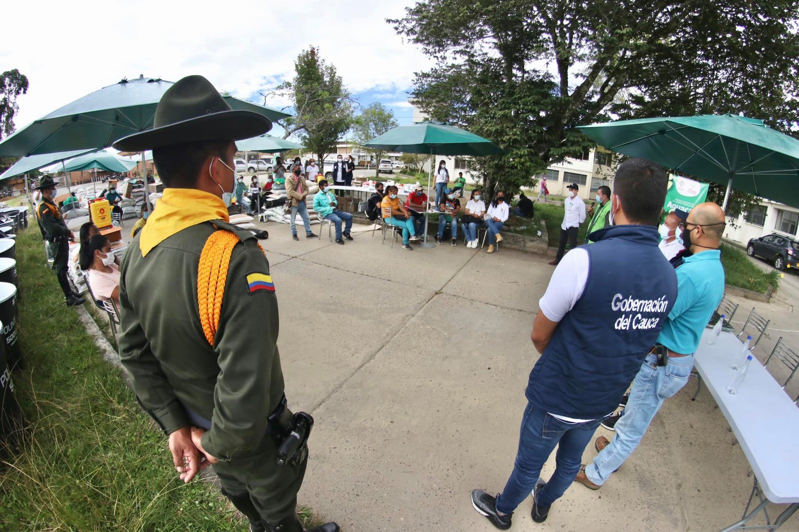 Fortalecimiento de la cadena productiva de aguacate hass3