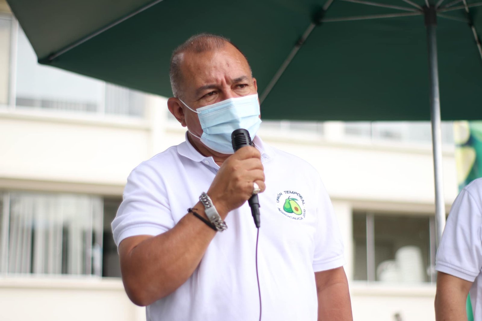 Fortalecimiento de la cadena productiva de aguacate hass4