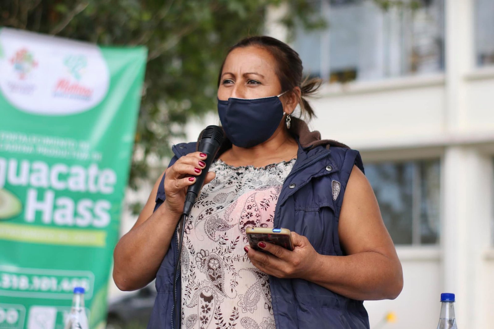 Fortalecimiento de la cadena productiva de aguacate hass6