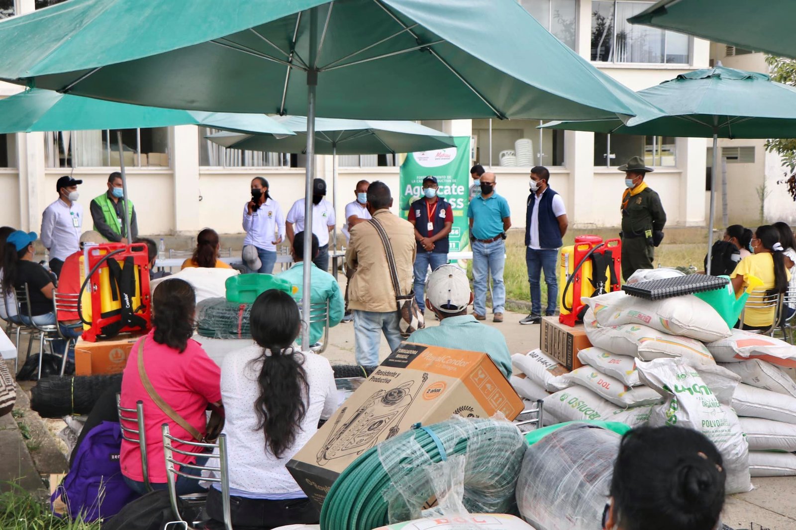 Fortalecimiento de la cadena productiva de aguacate hass7