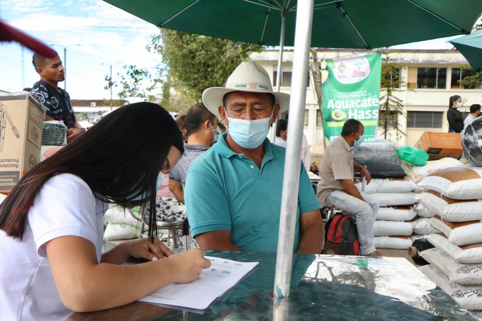 Fortalecimiento de la cadena productiva de aguacate hass8