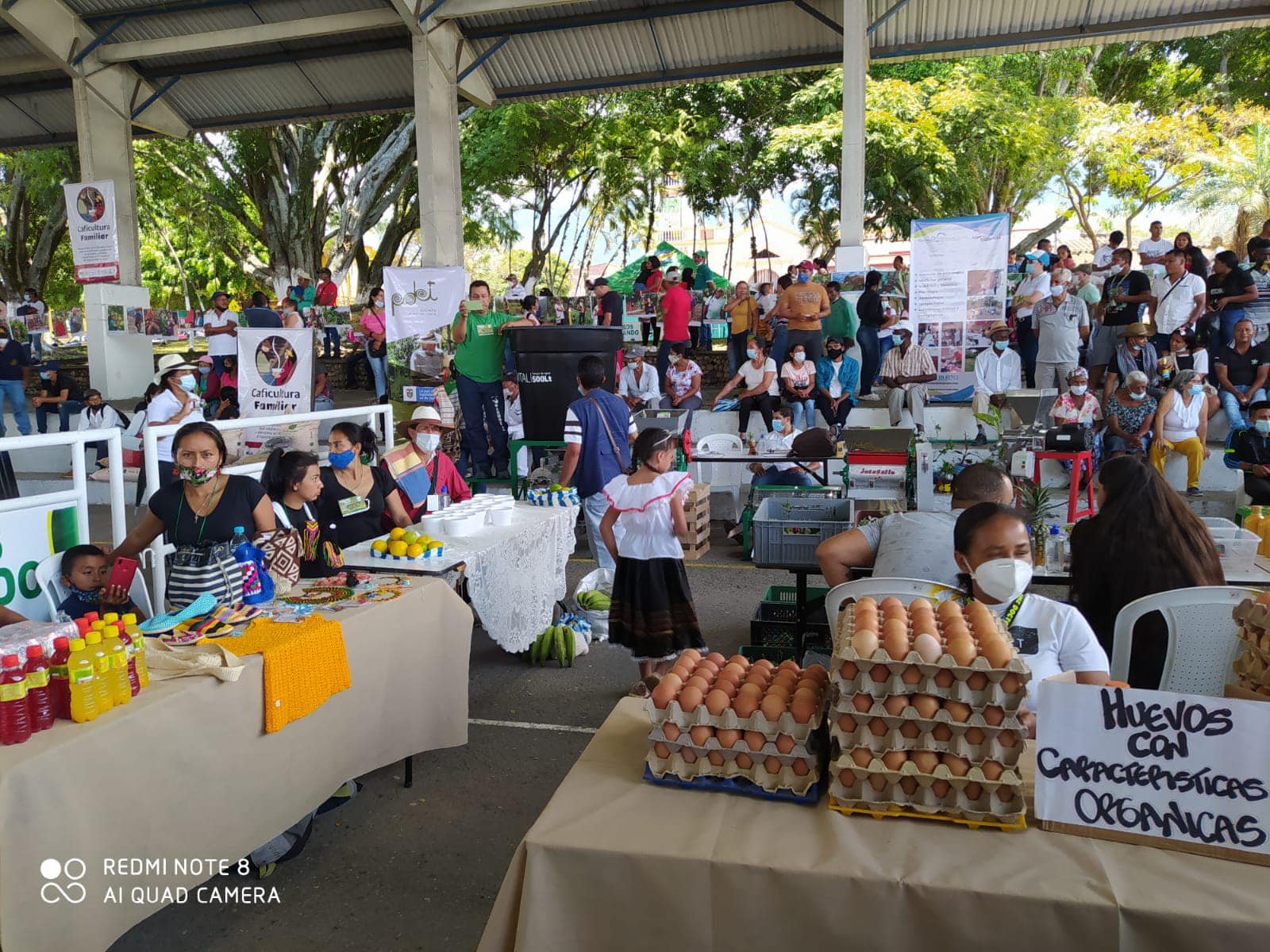 Fortalecimiento del sector rural y la economía familiar en Miranda5