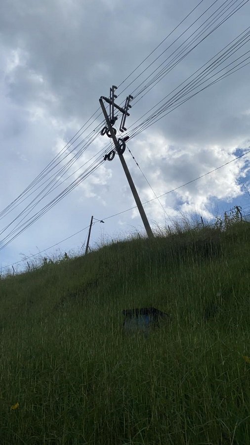Caída de árbol causa ausencia del servicio de energía eléctrica en el Norte de Popayán 29 Foto-1