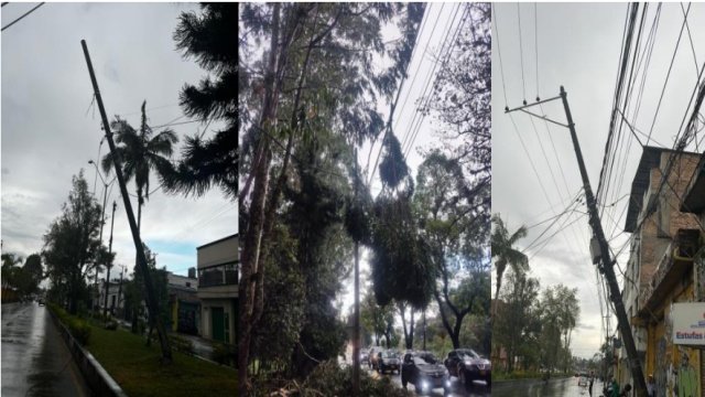 Fuertes lluvias ocasionaron la caida de arboles sobre la infraestructura electrica en el norte de Popayan 1