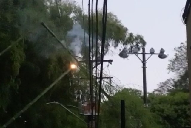 Fuertes lluvias ocasionaron la caida de arboles sobre la infraestructura electrica en el norte de Popayan