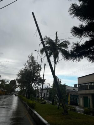 Fuertes lluvias ocasionaron la caída de árboles sobre la infraestructura eléctrica en el norte de Popayán10