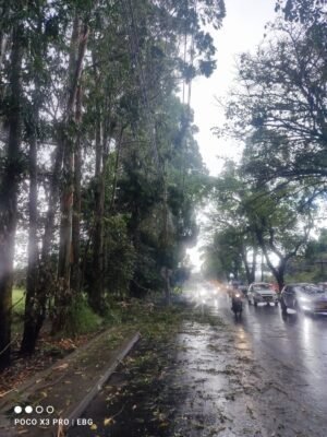 Fuertes lluvias ocasionaron la caída de árboles sobre la infraestructura eléctrica en el norte de Popayán4