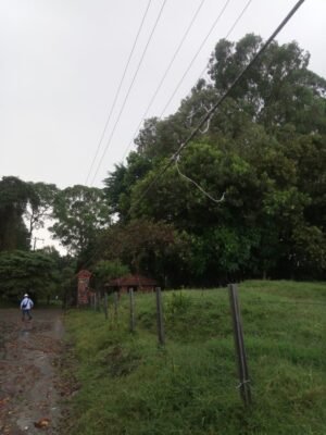 Fuertes lluvias ocasionaron la caída de árboles sobre la infraestructura eléctrica en el norte de Popayán7