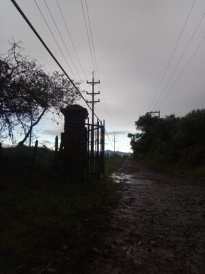 Fuertes lluvias ocasionaron la caída de árboles sobre la infraestructura eléctrica en el norte de Popayán8