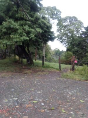 Fuertes lluvias ocasionaron la caída de árboles sobre la infraestructura eléctrica en el norte de Popayán9