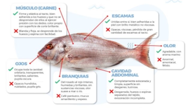 Gobernacion del Cauca despliega acciones en terreno en procura de una Semana Santa saludable