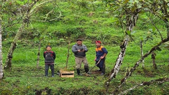 Gobernación del Cauca fortalece la reforestación y huertas escolares en Sotará