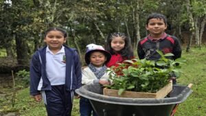 Gobernación del Cauca fortalece la reforestación y huertas escolares en Sotará