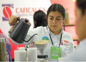 Gobierno Departamental apertura la III Feria Mundial Del Cafe en el Cauca
