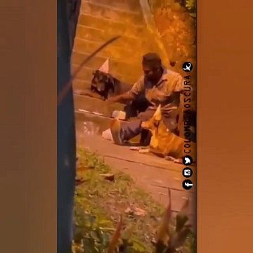 HABITANTE DE CALLE LE CELEBRA CUMPLEANOS A SUS PELUDITOS