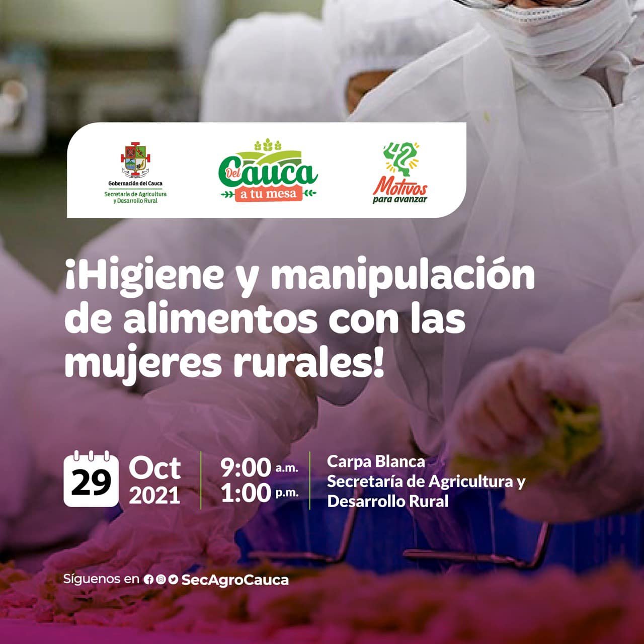 Higiene y manipulacion de alimentos