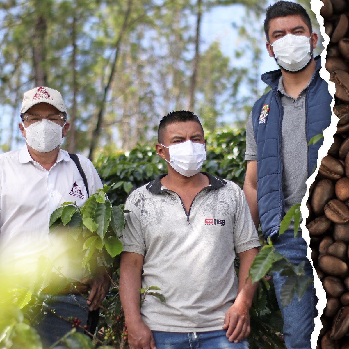 Hoy celebramos el día internacional del café1