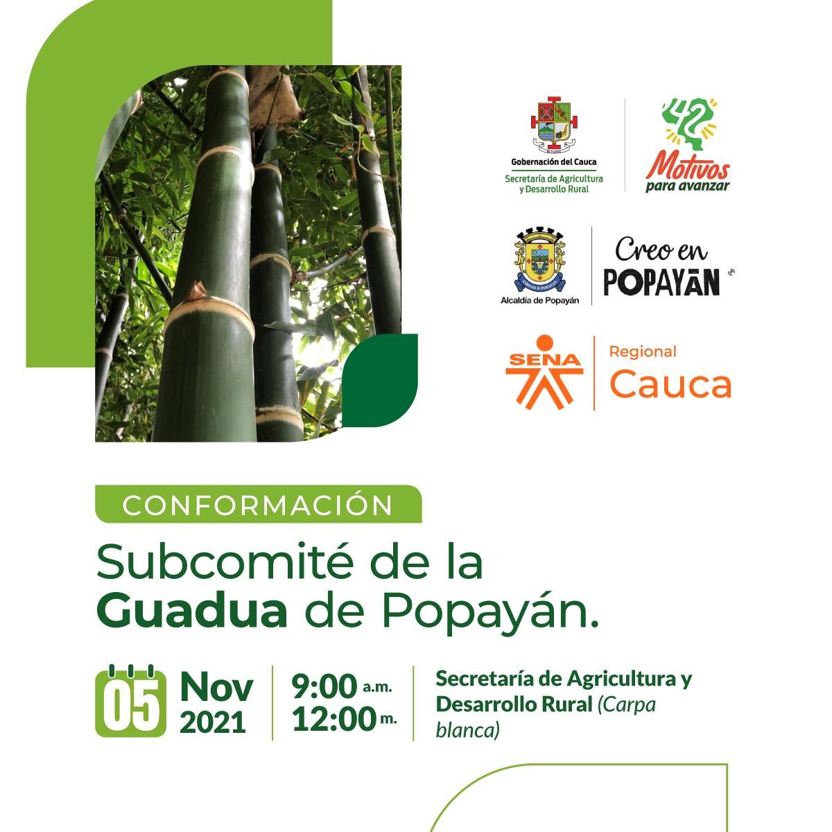 Invitacion conformación del subcomité para el municipio de Popayán