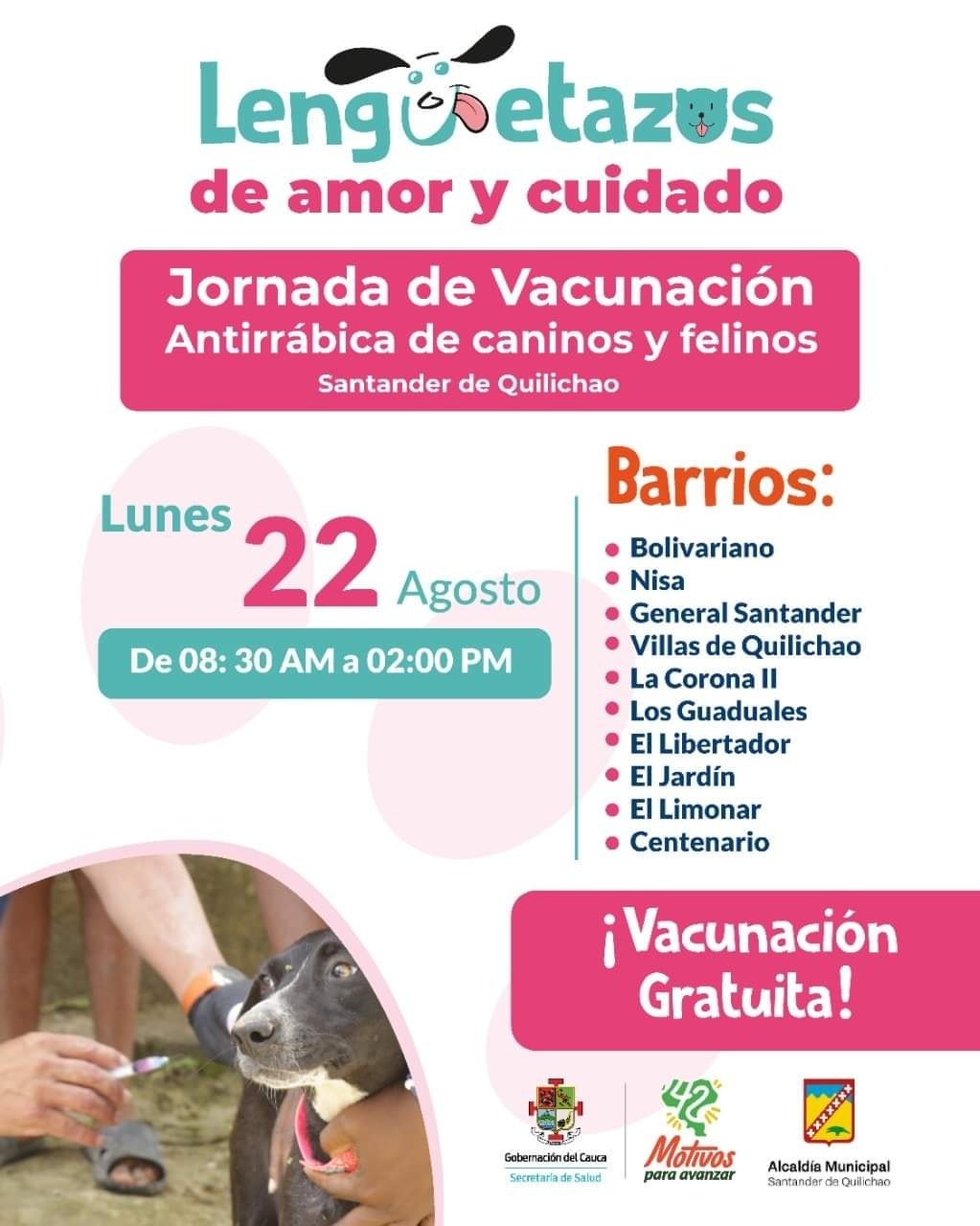 JORNADA DE VACUNACIÓN PARA PERROS Y GATOS EN SANTANDER DE QUILICHAO