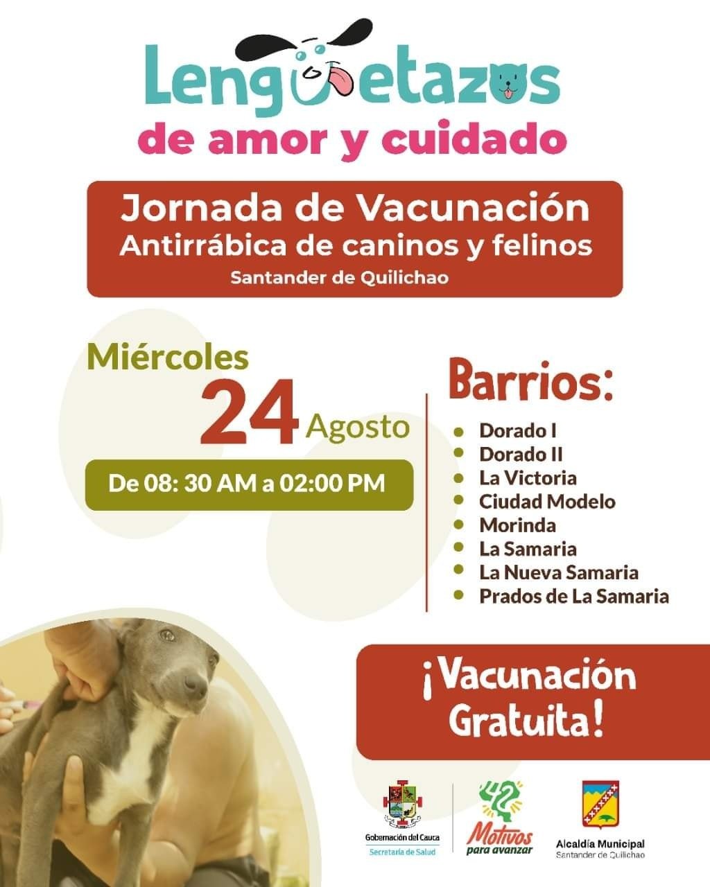 JORNADA DE VACUNACIÓN PARA PERROS Y GATOS EN SANTANDER DE QUILICHAO2