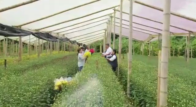 LAS FLORES SIN DUDA ALGUNA HACEN PARTE DEL PATRIMONIO DE COLOMBIA