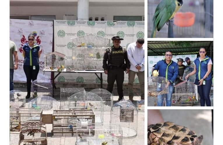 Lo capturaron en el corregimiento de Mondomo Cauca