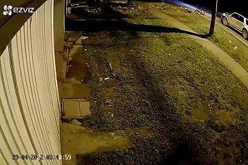 LOS ATROPELLO Y REGRESO POR LA PLACA